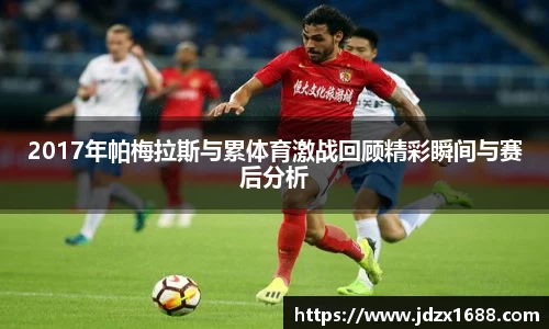 bsports官网入口